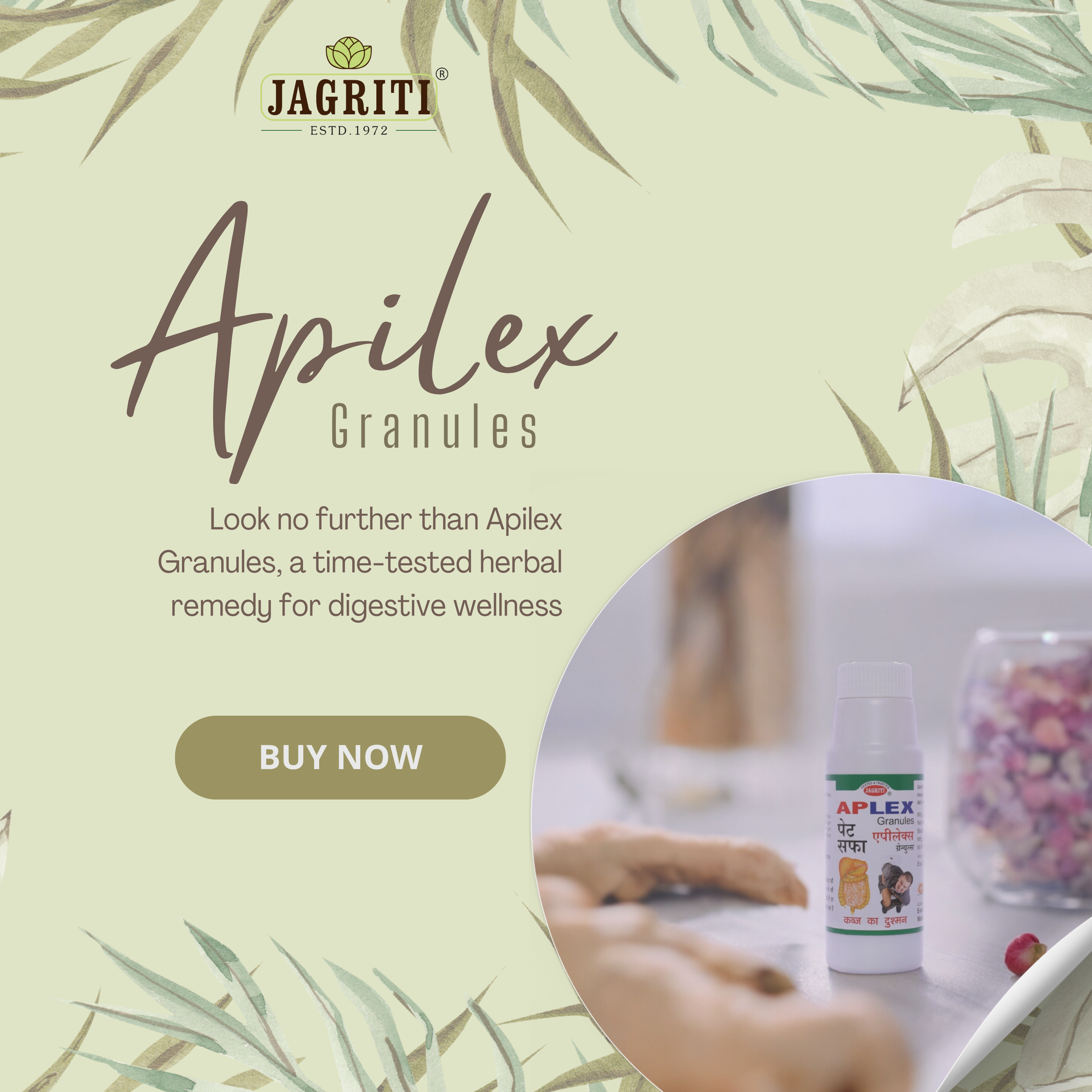 JAGRITI APLEX CHURNA